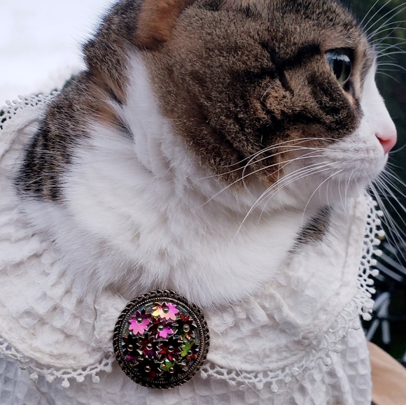 Vintage Metallic Iridescent 3D Scraf Clip/ Dress Clip - Picture 2 of 6